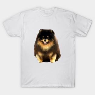 German Spitz Black and Tan T-Shirt